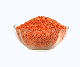 Shree Dhaani Exports Importts